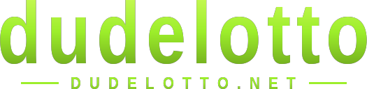 dudelotto logo
